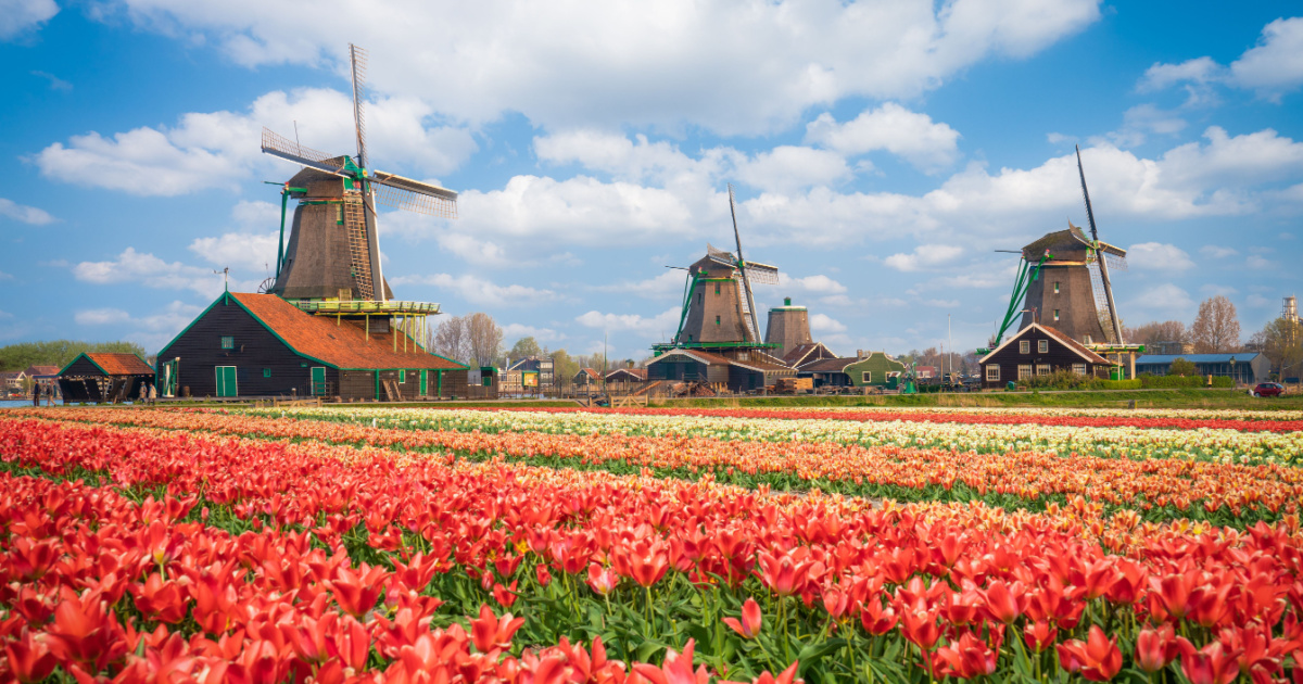 Random Dutch Thing 50+ Bizarre Things They Only Do In The Netherlands
