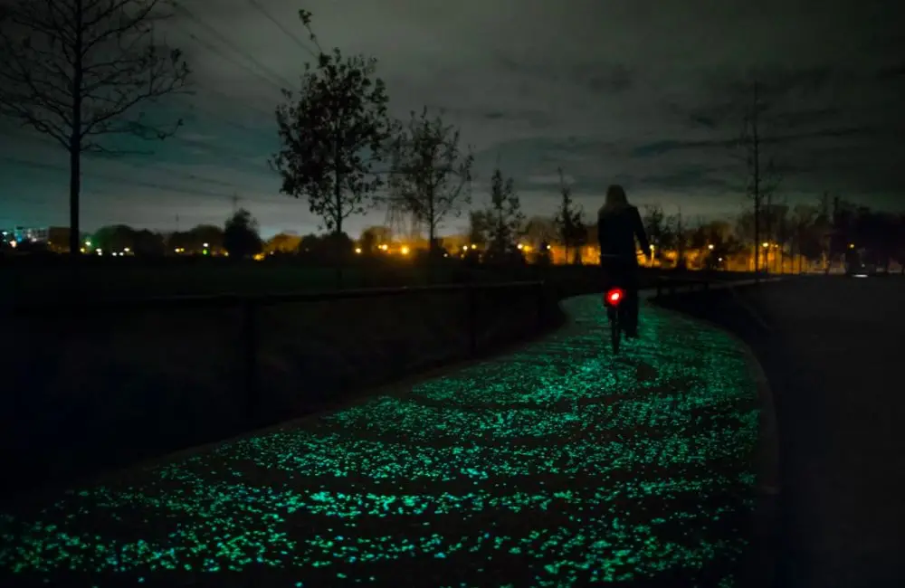 The Van Gogh Bicycle Path in Eindhoven is renowned for its extraordinary beauty. 