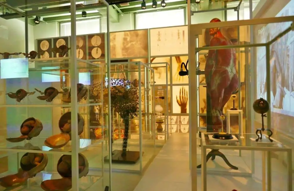 Museum Boerhaave, located in Leiden, is one of the most distinctive museums in the Netherlands. 