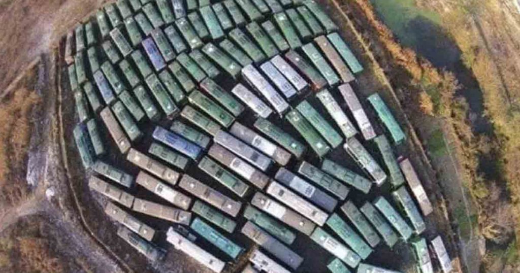 Sight test! 8 out of 10 were wrong. What’s actually in the picture? - Featured image