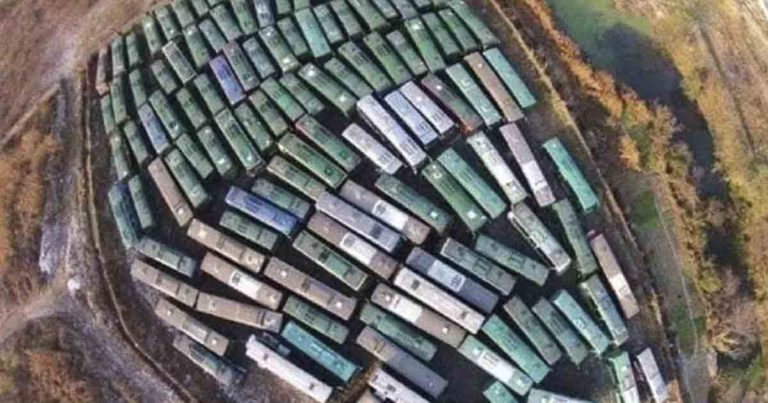 Sight test! 8 out of 10 were wrong. What’s actually in the picture? - Featured image