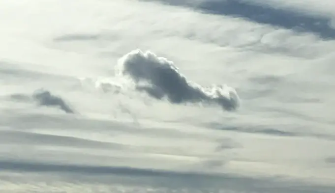 whale cloud