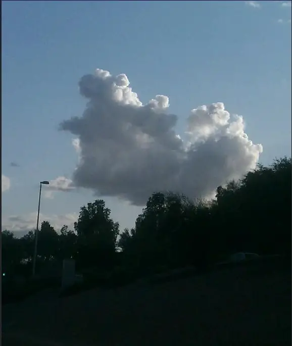 squirrel cloud