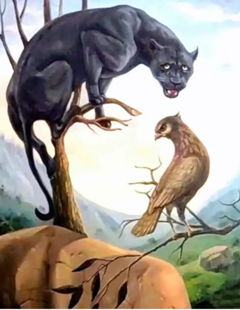 A panther and falcon resting in a tree above a rock and mountainous background. 