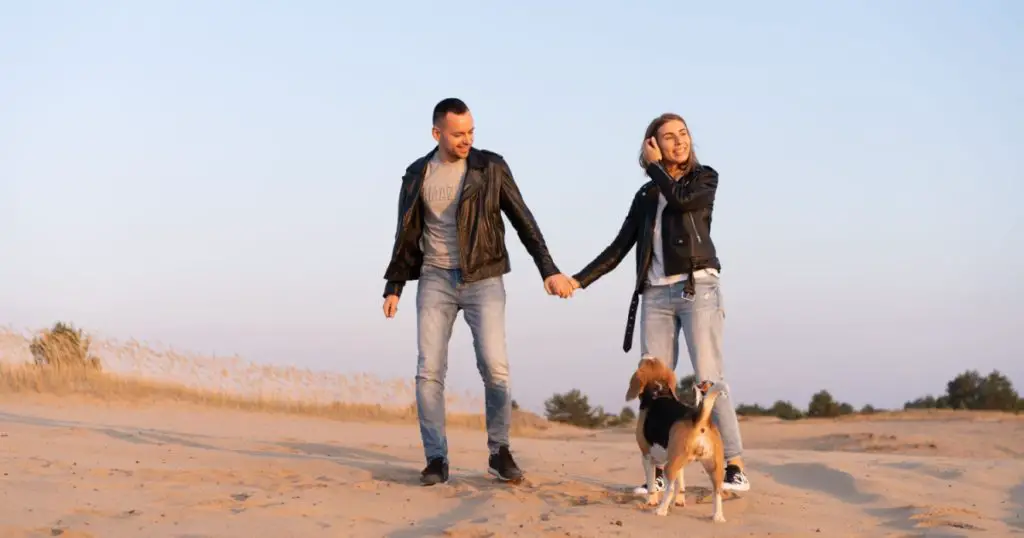 Young beautiful caucasian couple wearing leather jacket and jeans walks desert sand with Beagle dog best friend. Family with dog without children resting in nature. positive emotions happy people