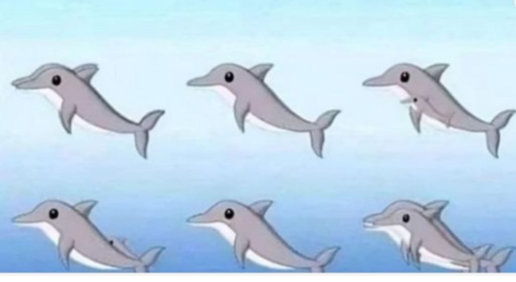 Cartoon dolphins.
