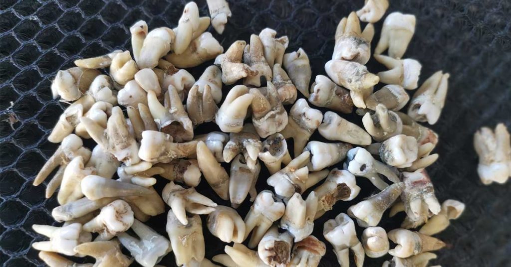 20 People Share Some of The Most Bewildering Old Objects They’ve Ever Found - Featured image