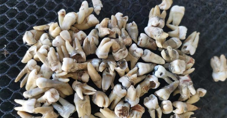 20 People Share Some of The Most Bewildering Old Objects They’ve Ever Found - Featured image