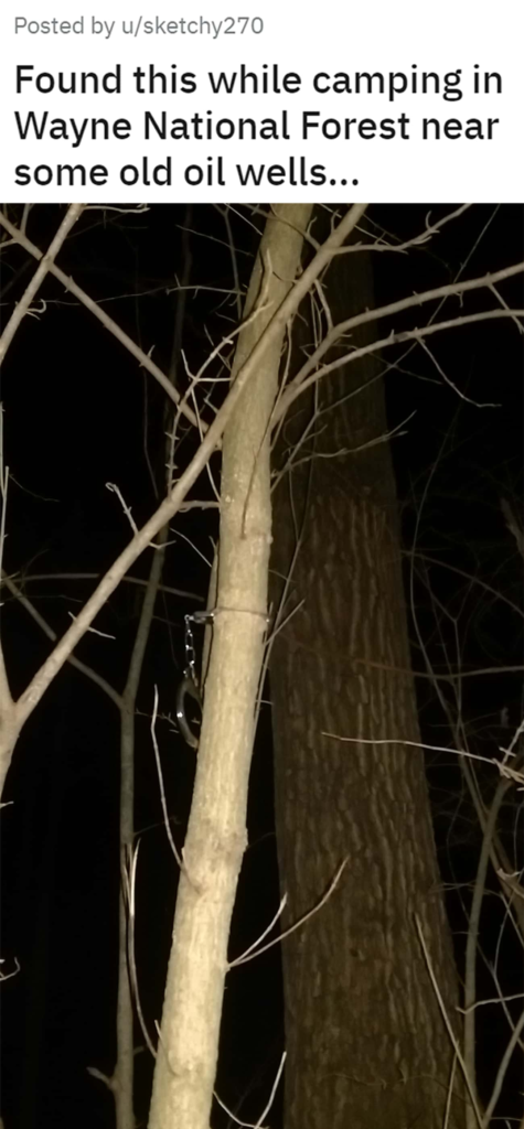 Disturbing objects 13: Handcuffs tied to a tree