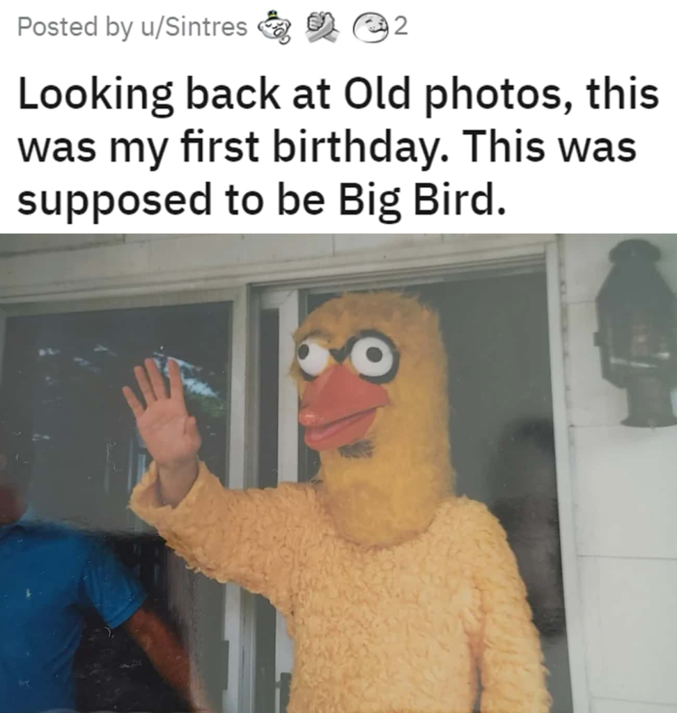 Creepy big bird costume