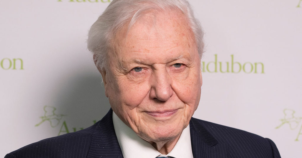 People Debate Who Is The World’s Most Universally Liked Person - Featured image