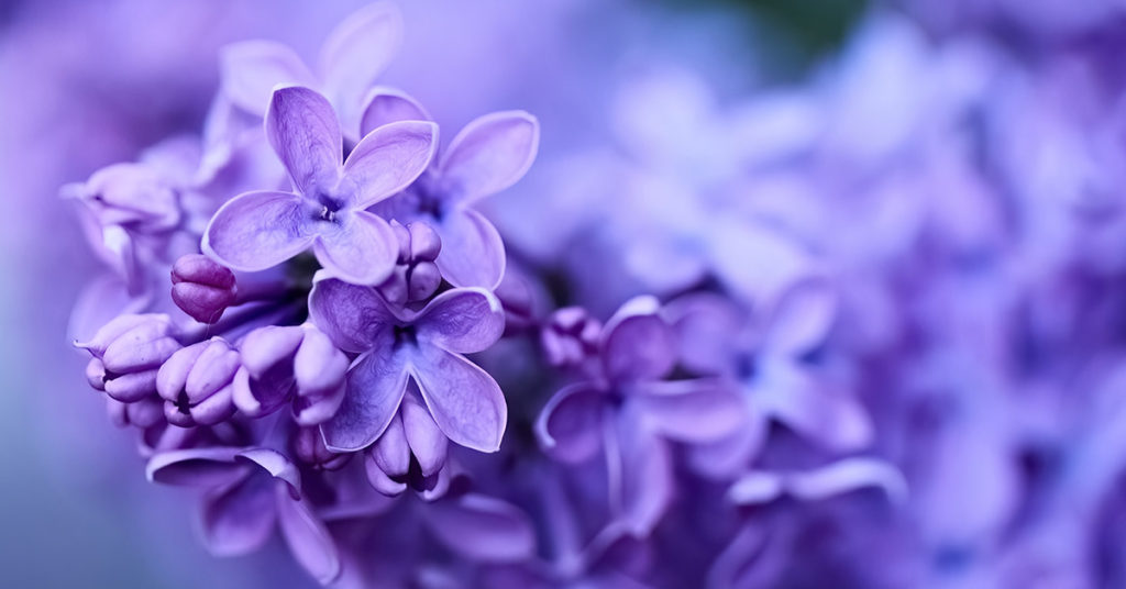 Your Birth Month’s Color and Meaning, Explained - Featured image