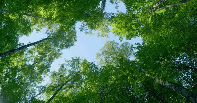 22 Surprising Animal Facts You Had No Idea Could Be True - Featured image