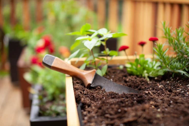 10 Genius Gardening Hacks to Elevate Your Outdoor Space - Featured image