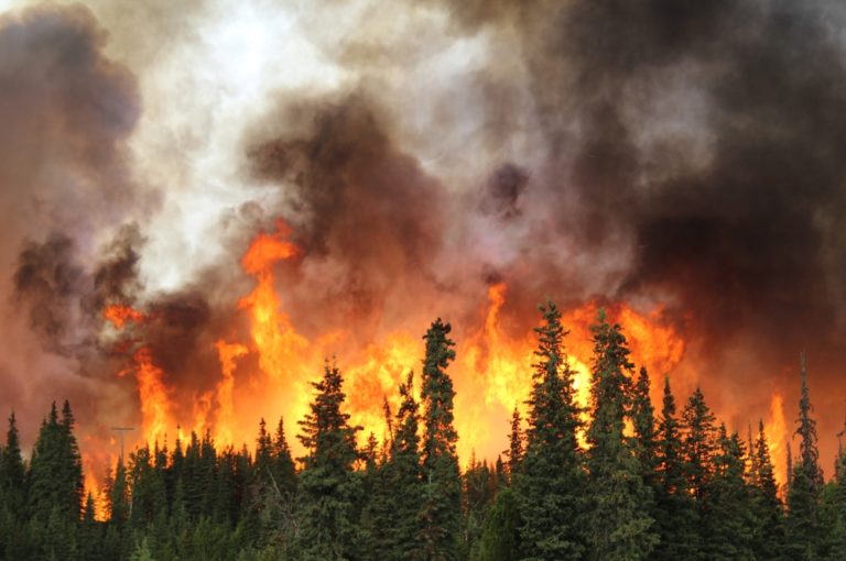 How to Spot the 11 Warning Signs of an Approaching Natural Disaster - Featured image