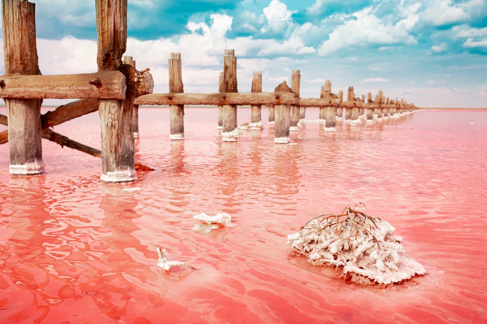 The pink lake is a beautiful landscape, unusual nature. A unique rare natural phenomenon. Salt lake with pink algae. Beautiful landscape.
