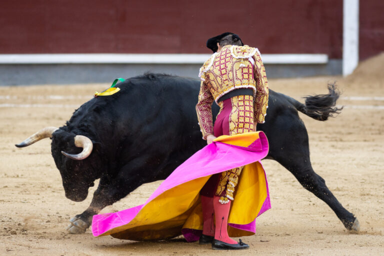 Historic Win: Mexico City Bans Bullfighting Forever - Featured image